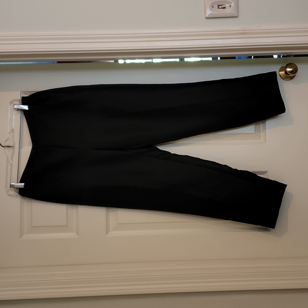NWT - Ann Taylor Silk Occasion Pants